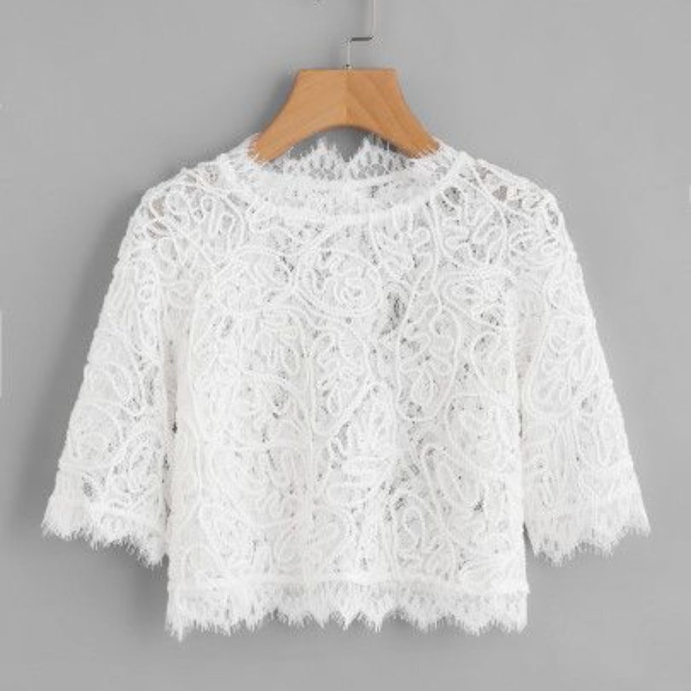 SHEIN White Eyelash Lace Embroidery Sheer Crop Top